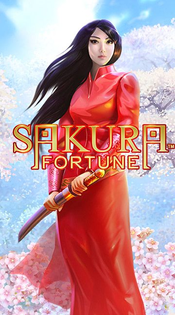 Esporte da sorte apk
