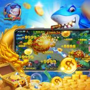 Arquivos apk