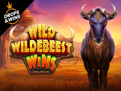 Jogo tigre da sorte